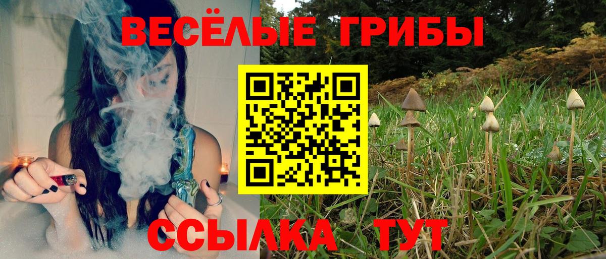 Галлюциногенные грибы GOLDEN TEACHER Печора