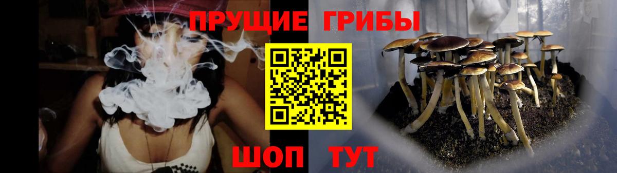 закладка  Вход с VPN  Печора  Псилоцибиновые грибы GOLDEN TEACHER 