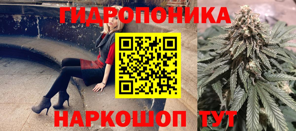 Конопля Amnesia Печора